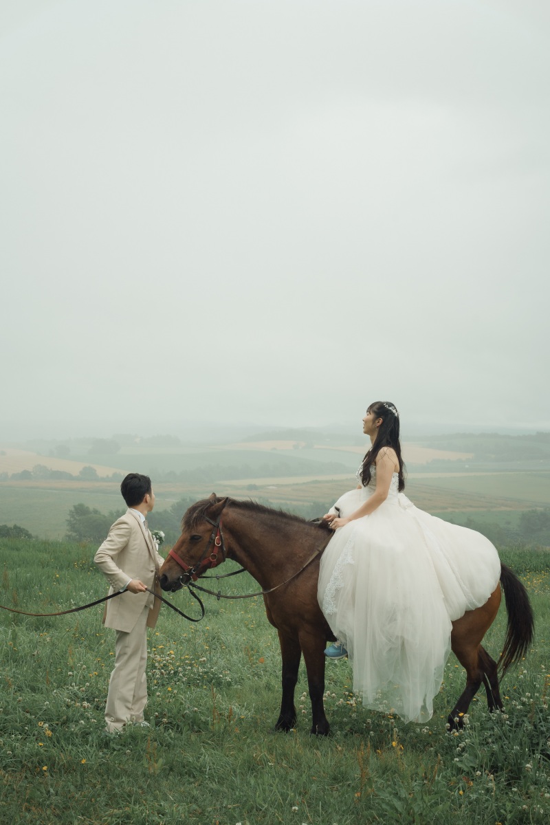 丘のうえを選んだ理由