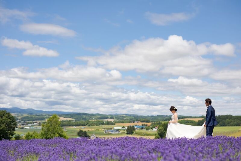 丘のうえを選んだ理由
