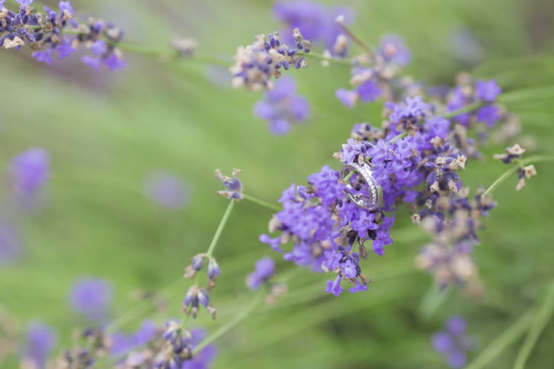 撮影チームの感想