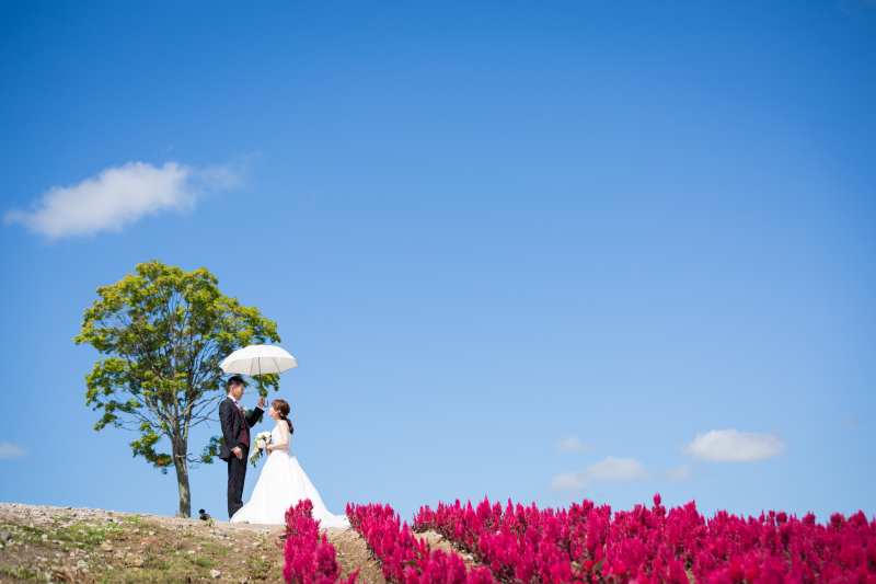 撮影場所について