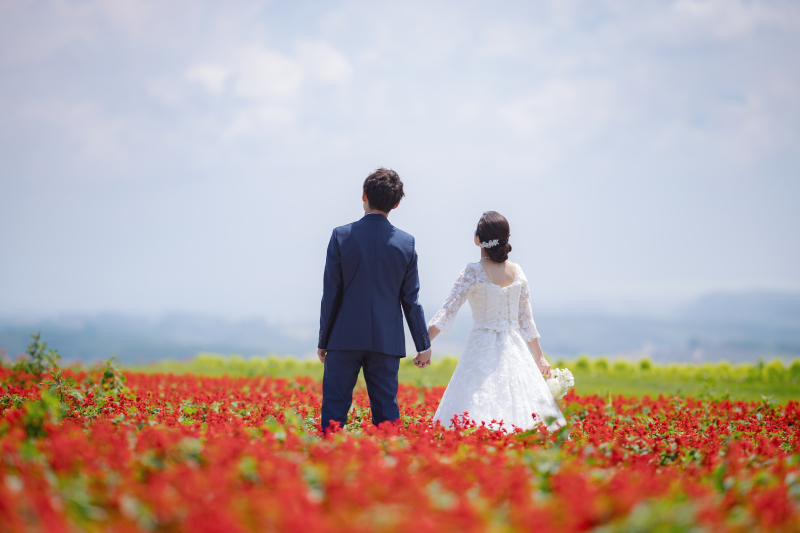 丘のうえを選んだ理由