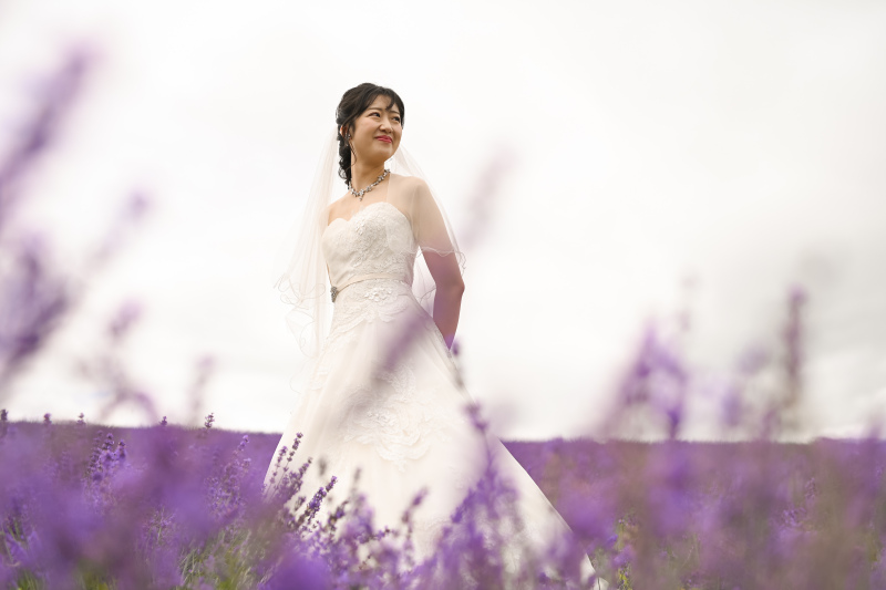 日のお出公園は７月末