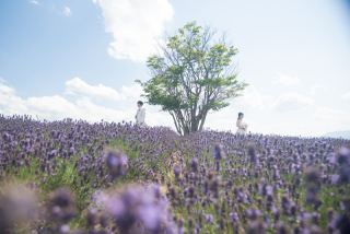 北海道の綺麗な景色の中でのWedding Photo／【お客様の声】