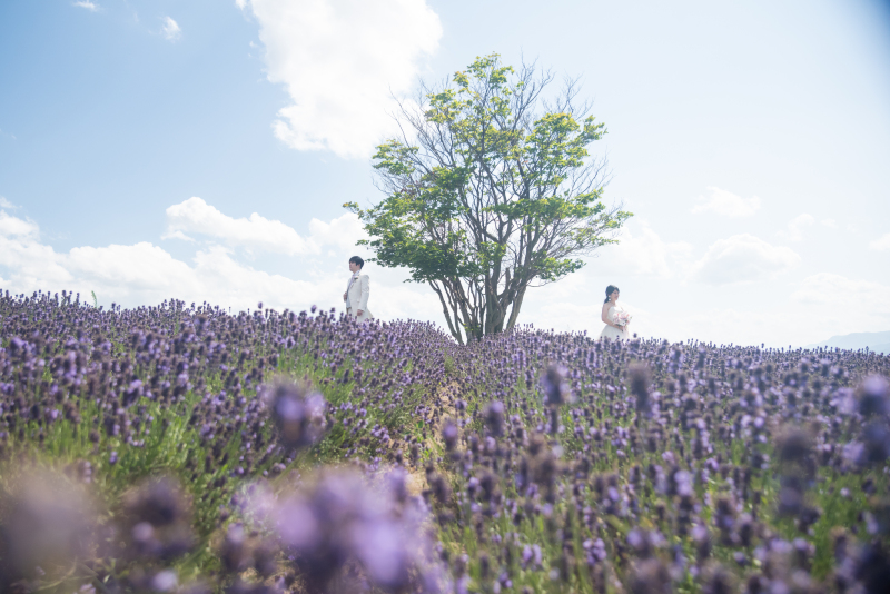 北海道の綺麗な景色の中でのWedding Photo／【お客様の声】