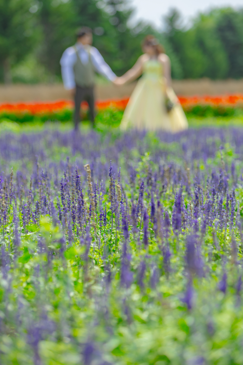 撮影お疲れ様でした