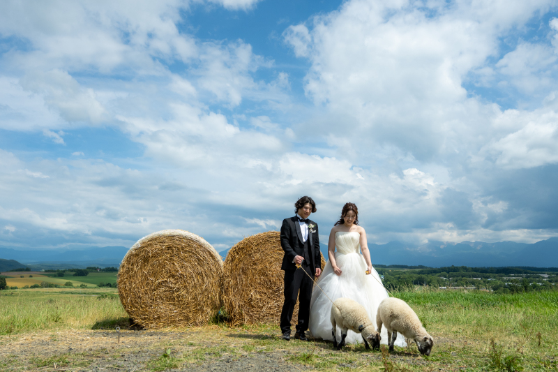 一言メッセージ