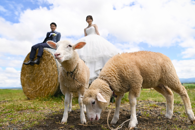 フォトウェディングをご検討の方へ