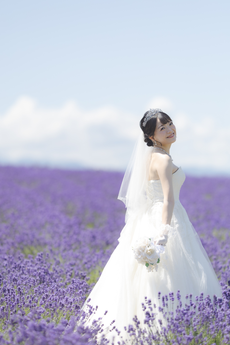 7月上旬のラベンダー畑