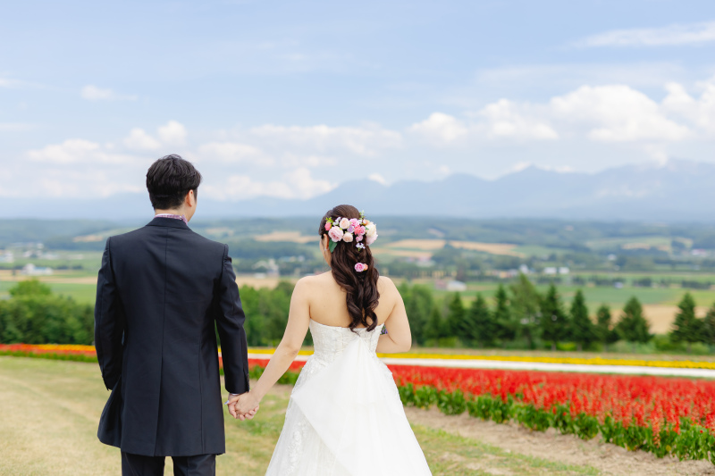 丘のうえを選んだ理由