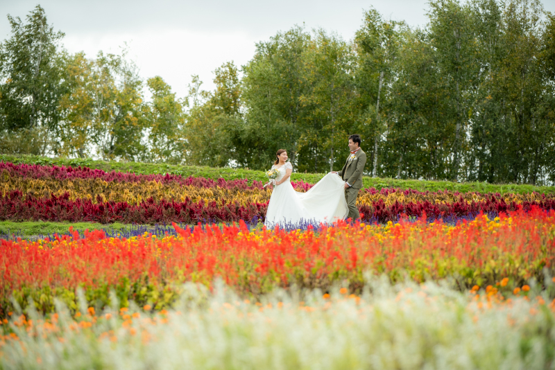 丘のうえを選んだ理由