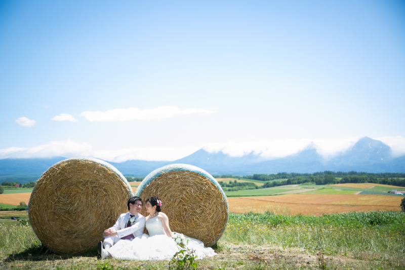 丘のうえを選んだ理由