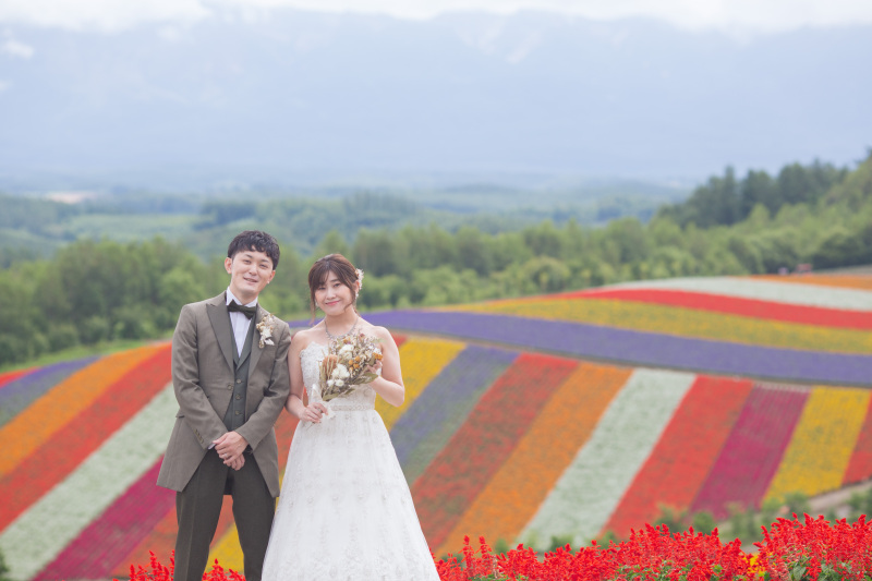 色鮮やかな頃の四季彩の丘、千代田ファーム2か所