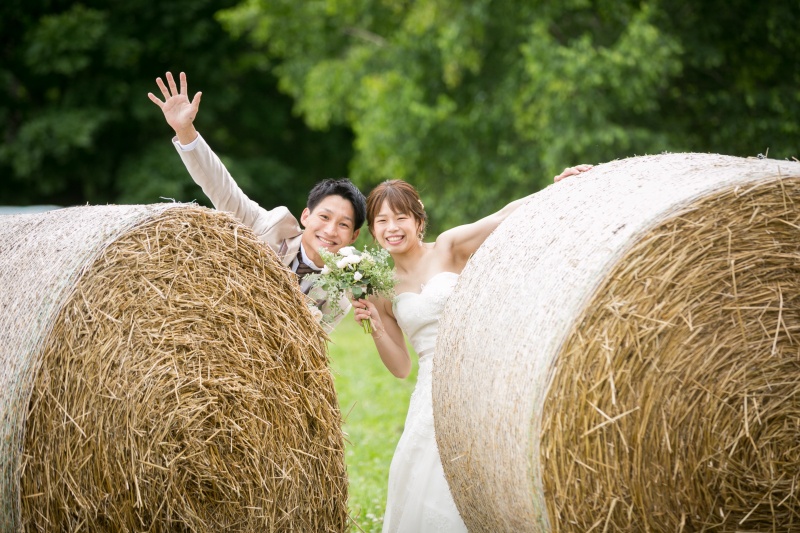 丘のうえを選んだ理由