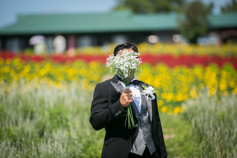 丘のうえを選んだ理由