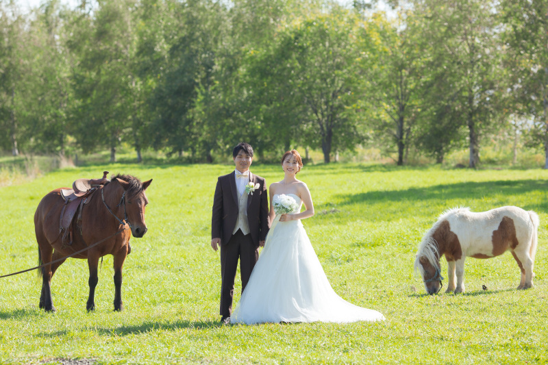 お馬に囲まれて