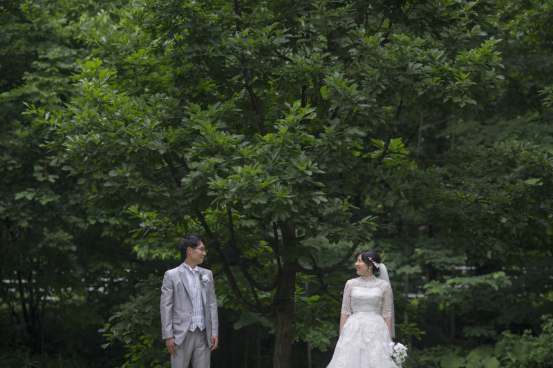 エメラルドグリーンの森