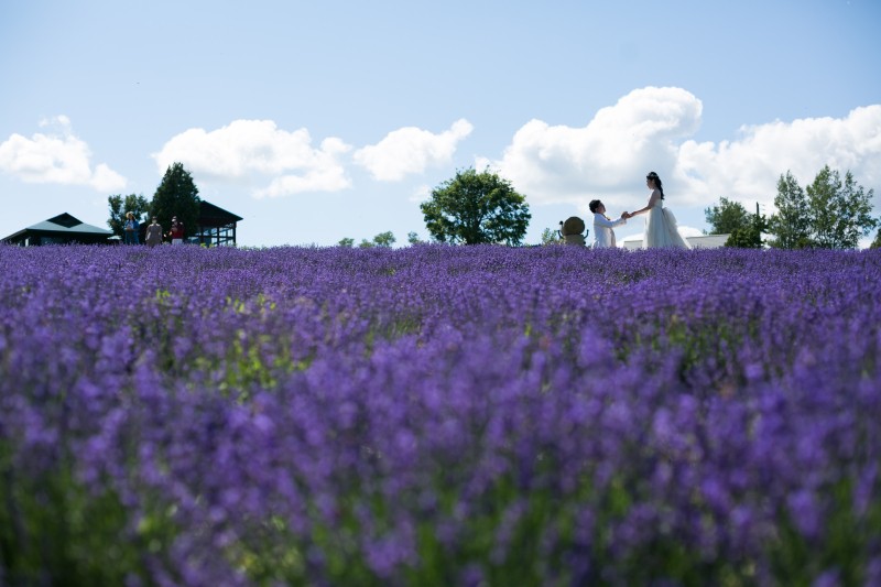 フォトウェディングをご検討の方へ