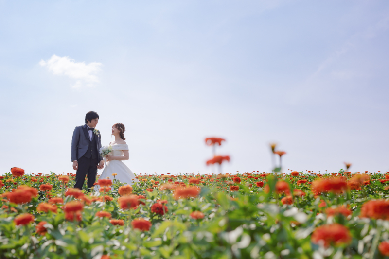 一言メッセージ