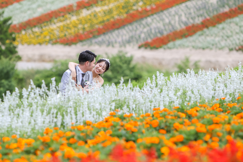 美瑛・富良野2か所プラン