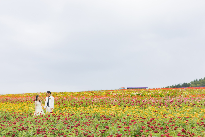 HPの写真が素敵だったので選びました