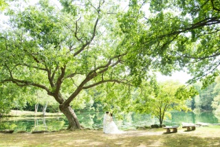 自然に囲まれてのWedding Photo／【お客様の声】