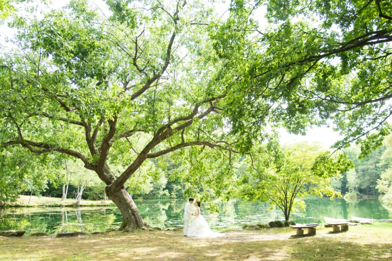 自然に囲まれてのWedding Photo／【お客様の声】