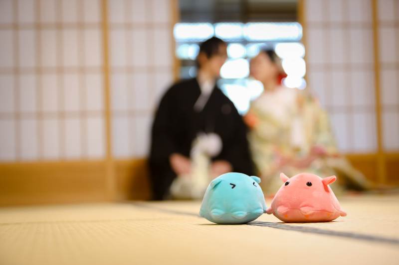 和装と洋装でのご撮影