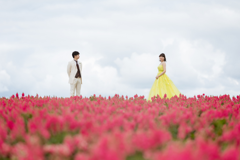 フラワーランドかみふらの