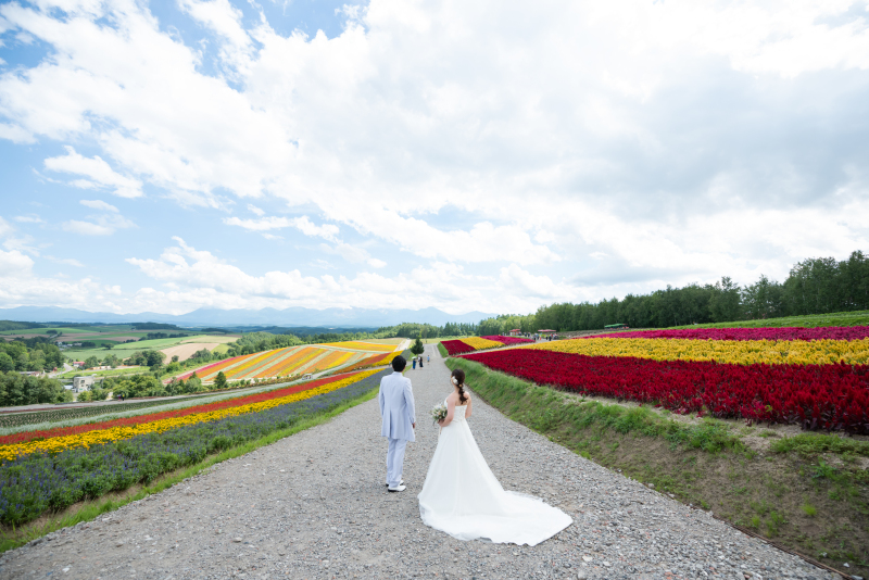 丘のうえを選んだ理由