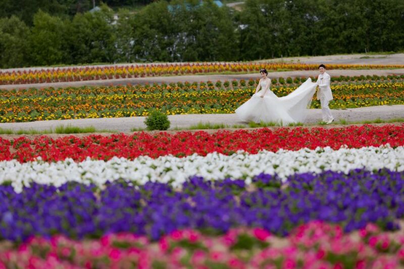 色彩豊かなWedding Photo。和歌山県から【お客様の声】
