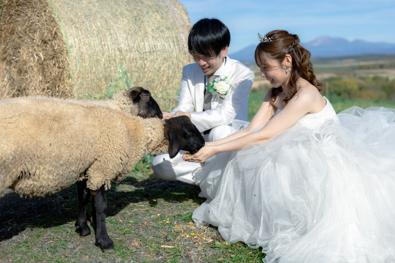 撮影で嬉しかったこと