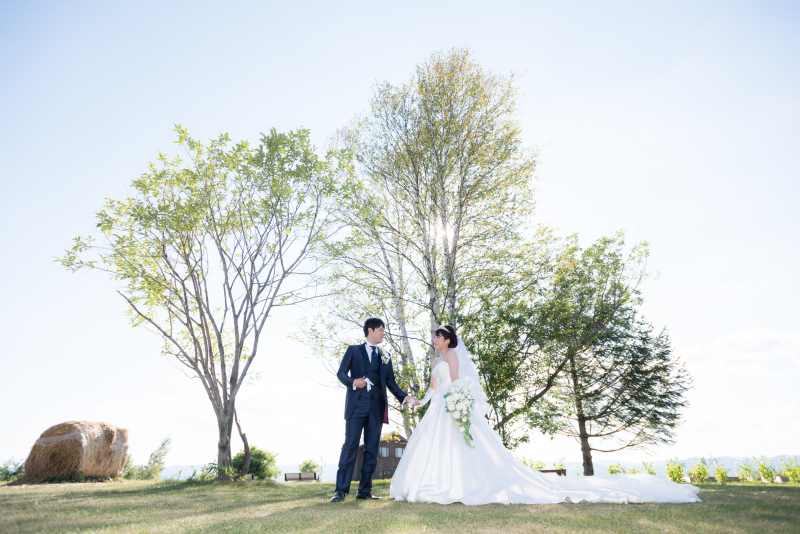 ロールのある丘のうえに移動