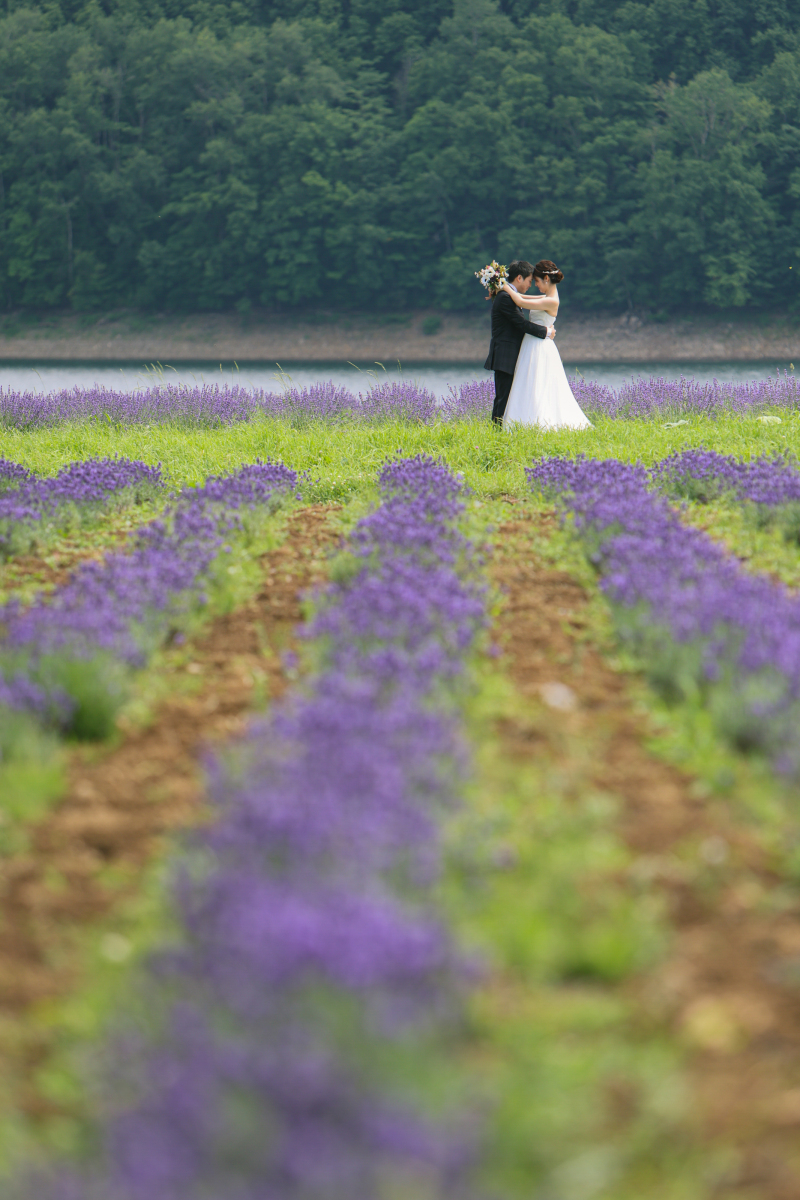 丘のうえを選んだ理由