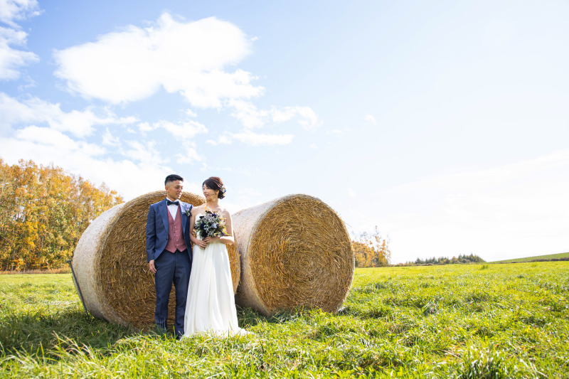 洋装（ドレス、タキシード）各1点プラン