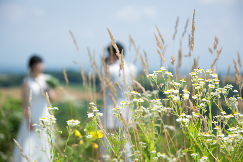 撮影チームの感想