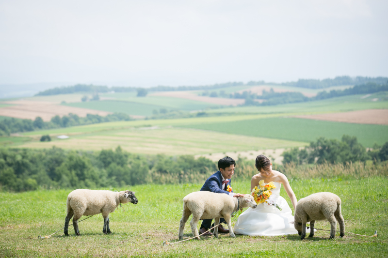 丘のうえを選んだ理由