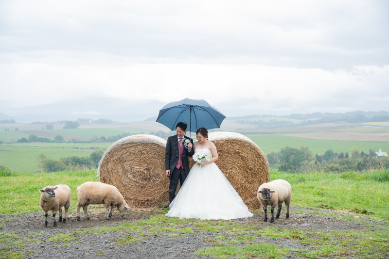 オールインワンプラン