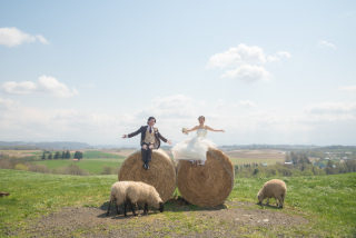 羊と青い池、美瑛2か所を満喫のWedding　Photo／【お客様の声】