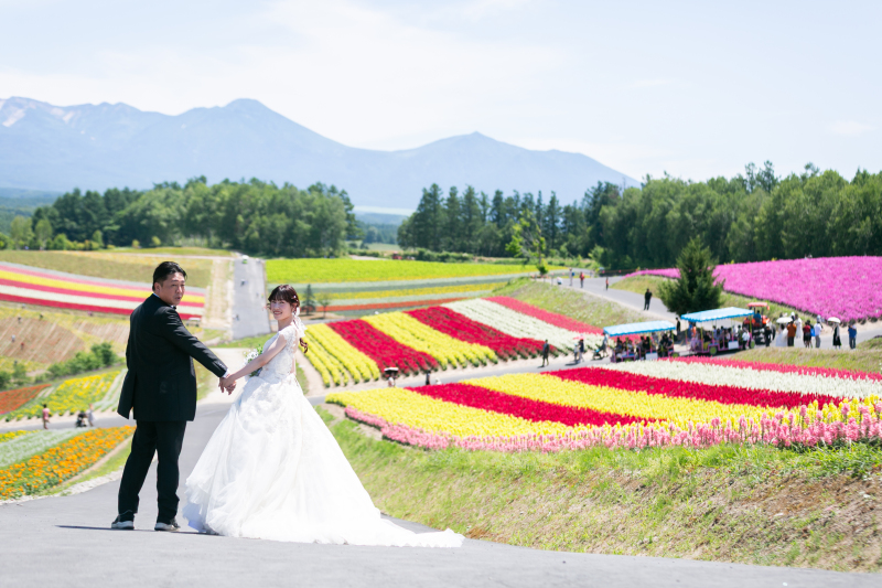 美瑛のお花畑の代表【四季彩の丘】