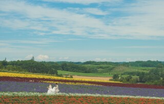 青い池、フラワーランドかみふらの、鳥沼公園3か所