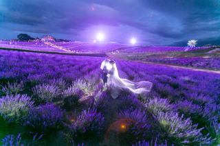 ライトアップの日の出公園でWedding Photo／【お客様の声】