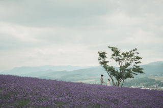早咲きのラベンダーでのWedding Photo／【お客様の声】 