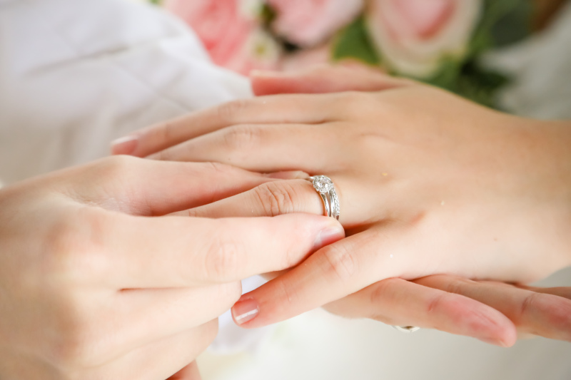 丘のうえを選んだ理由