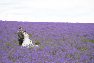 フラワーランド、日の出公園、お天気が猫の目雨、晴れてにっこりラベンダー畑