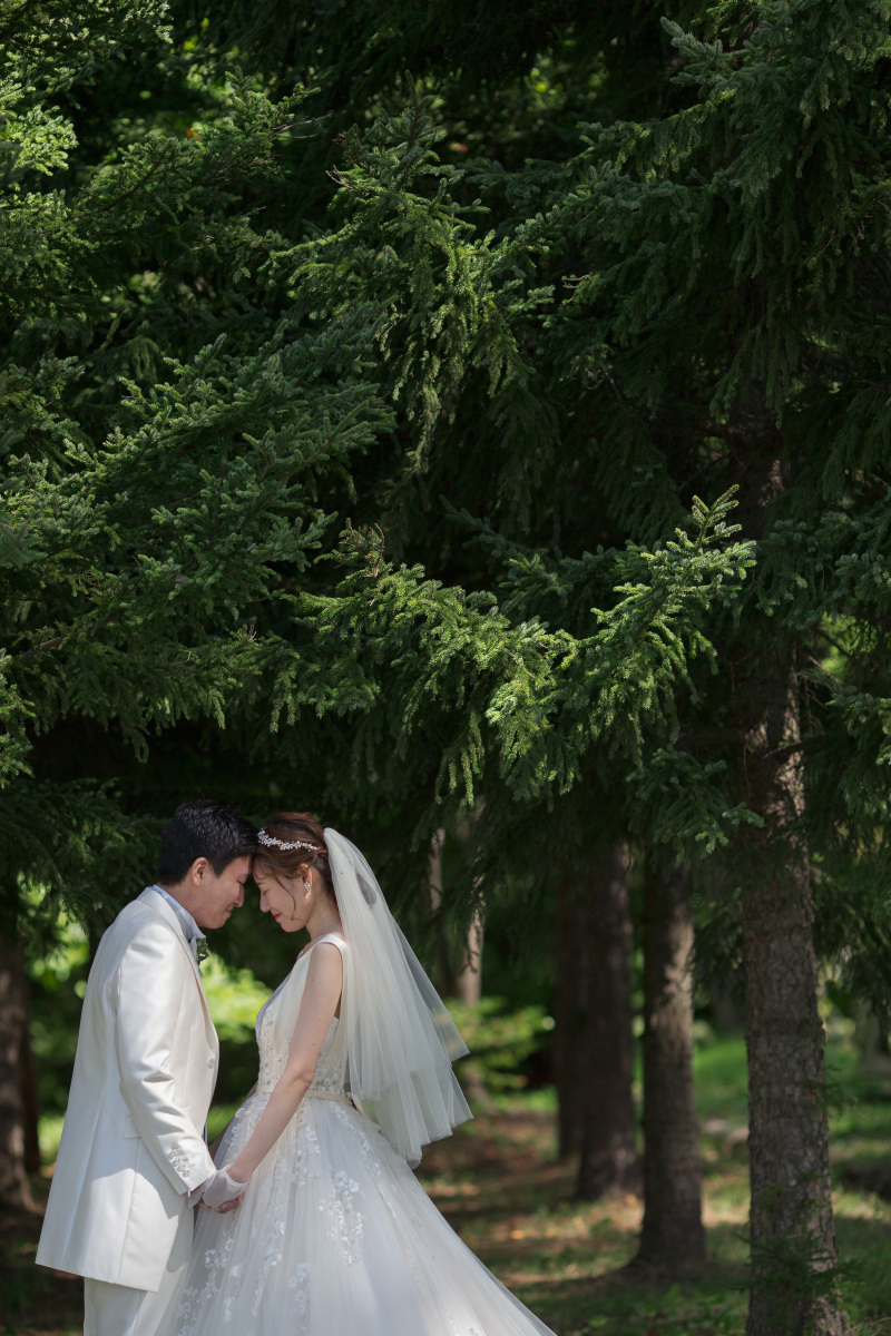 撮影スタートです