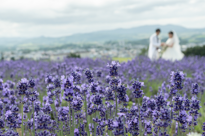和装と洋装2着プラン