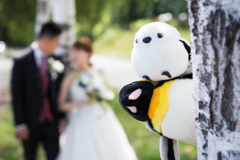 ぬいぐるみもOK