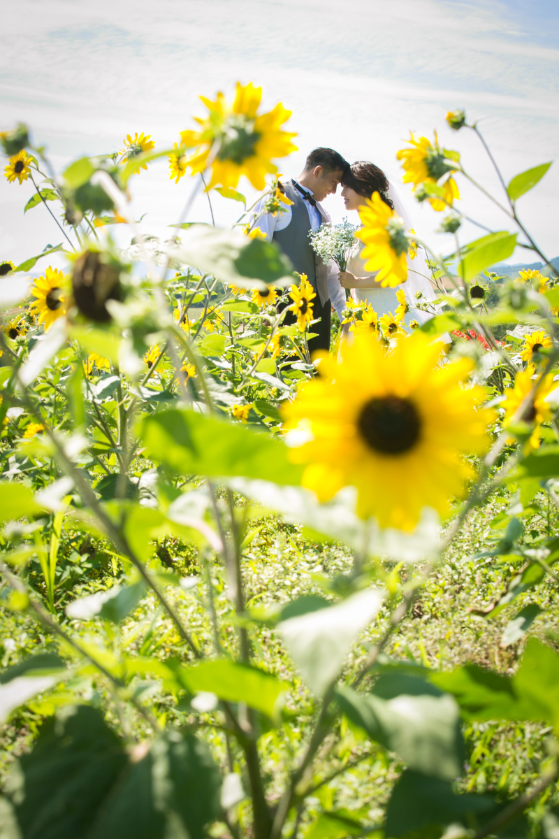 一言メッセージ