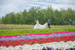 美瑛ファームズ千代田牧草ロール＆色彩の丘虹色の花畑でフォトウェデイング