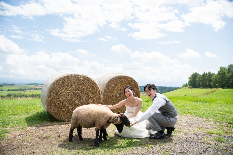 丘のうえを選んだ理由